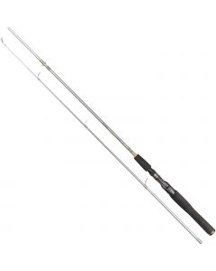 Daiwa Silvercast spinnspö för inkapslad rulle 6' 10-30 g