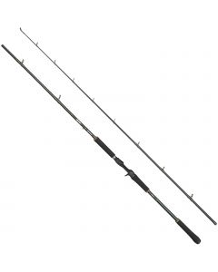 Abu Garcia Beast X2 802 spinnspö 8' 50-180 g