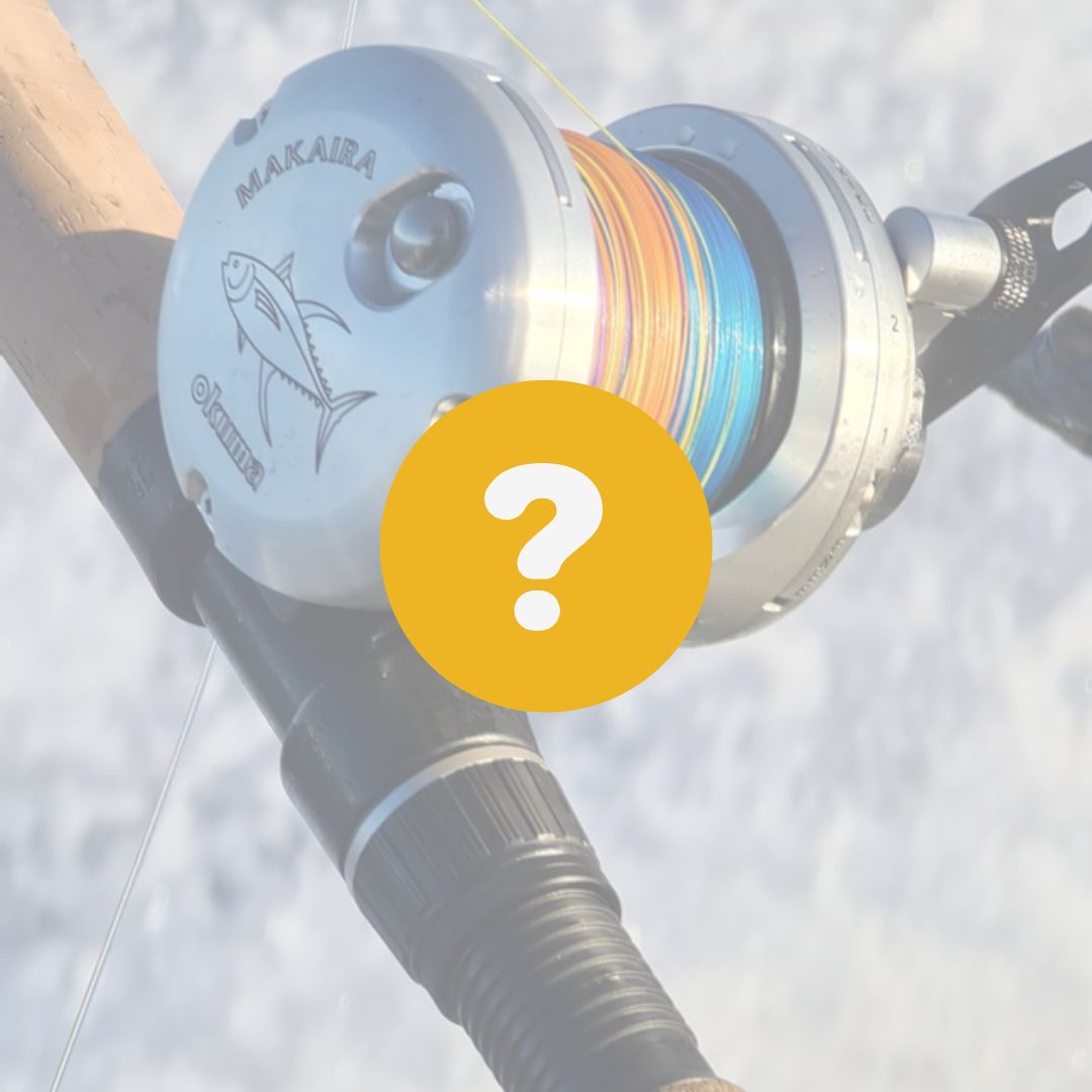 Fiska makrill – en fest för hela familjen