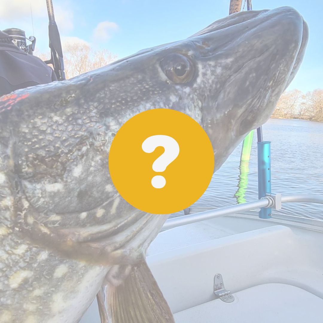 Guide för Catch & Release hantering