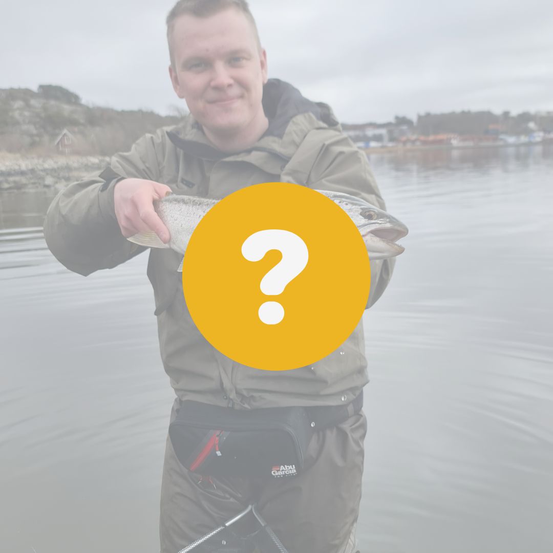 Tackla Havsöringen - Våra bästa tips