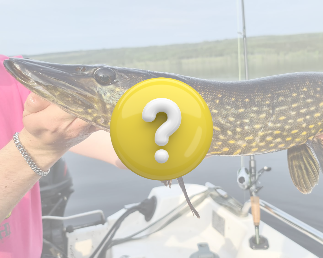 Lär dig fiska Gädda