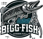 Bigg Fish