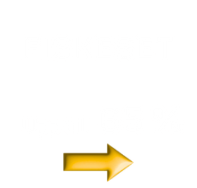 Fiskeset